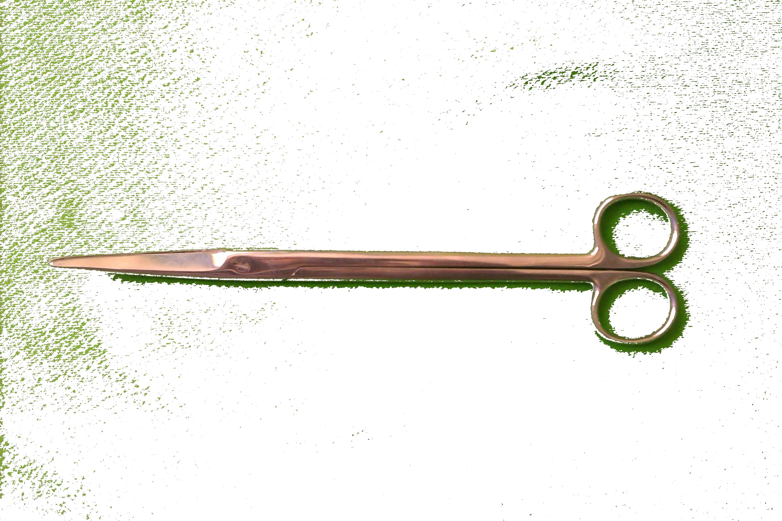 Mayo surgical scissors on white background